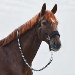 Fashion Kiel Halter with Fleece Headcollars & Halters