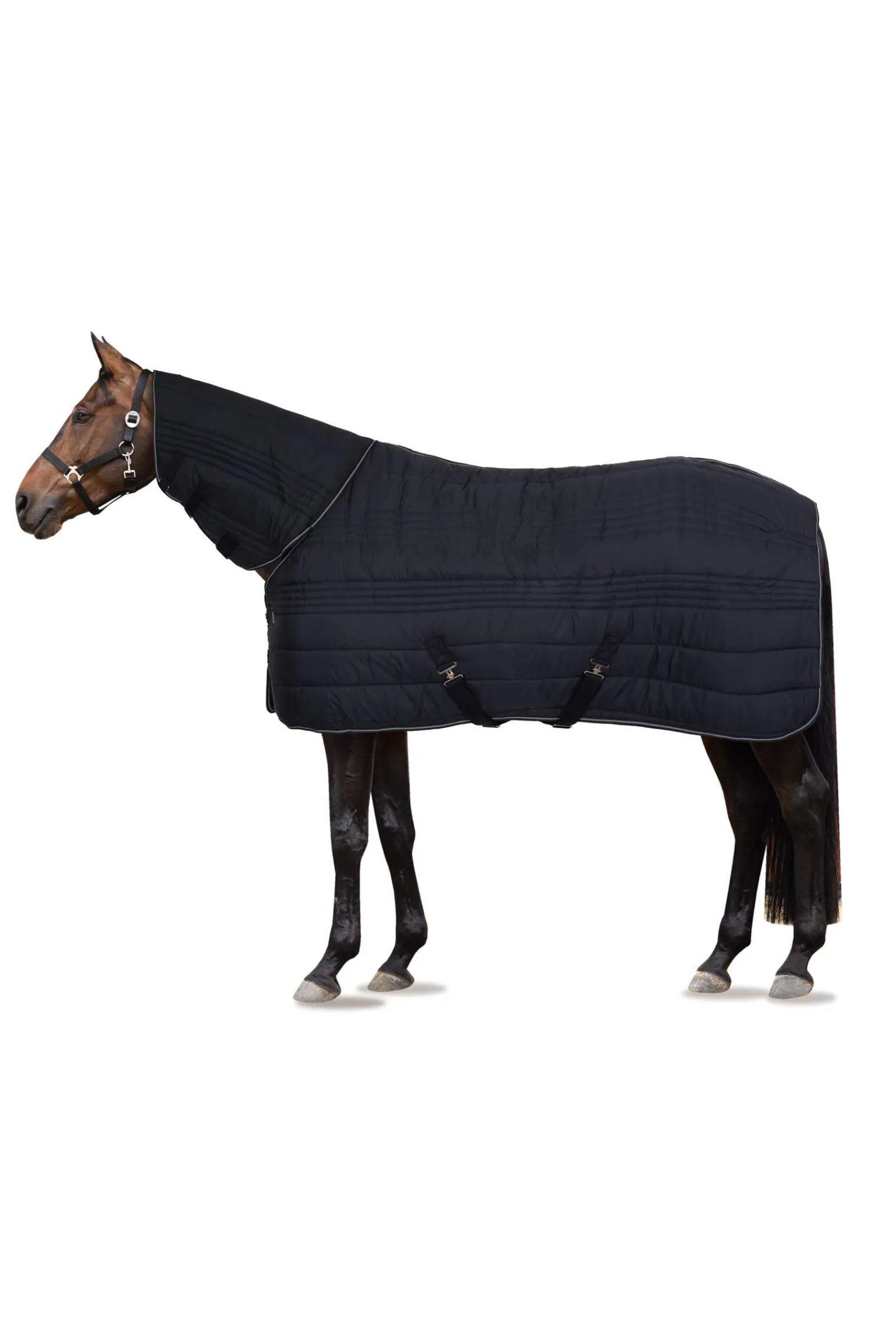 New Kingsley Combo Stable Rug with Neck, 300g Stable Rugs & Liners