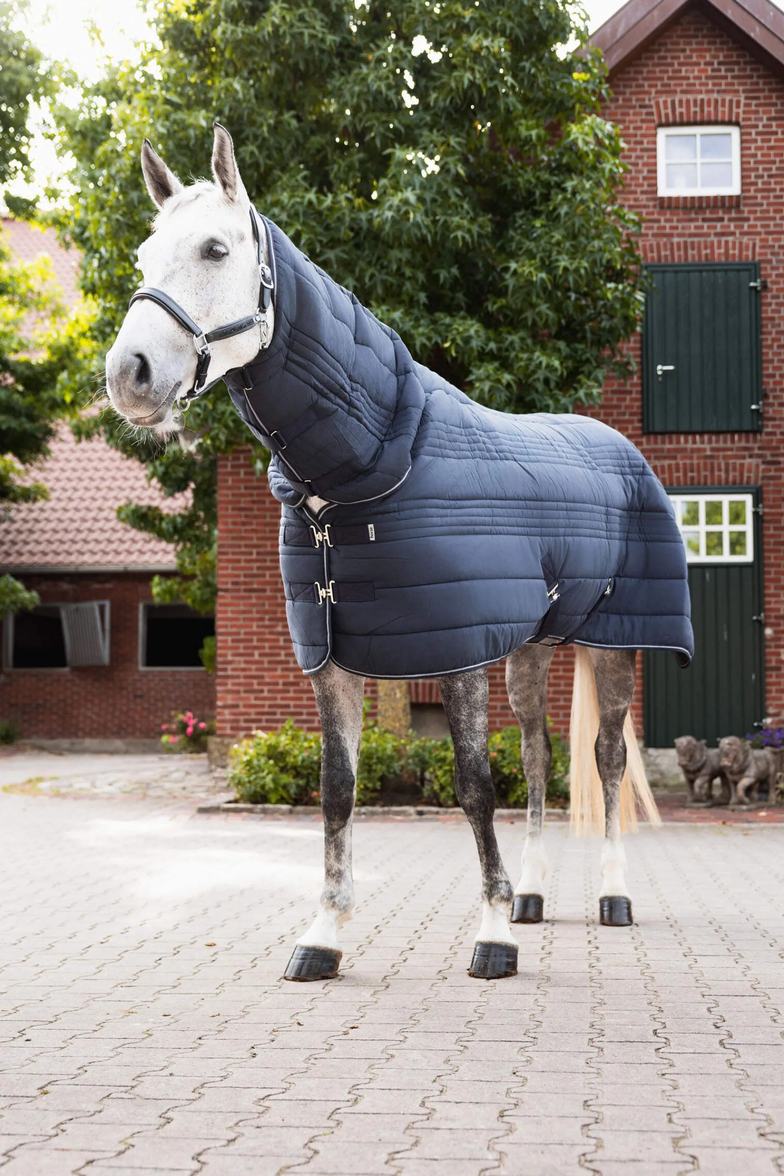 New Kingsley Combo Stable Rug with Neck, 300g Stable Rugs & Liners