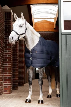 Online Kingsley Stable Rug, 300g Stable Rugs & Liners