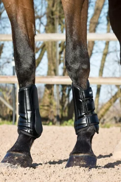 Outlet Laval Boots Fetlock Boots|Horse Boots