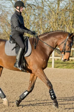 Outlet Laval Boots Fetlock Boots|Horse Boots