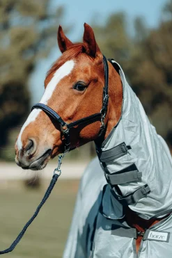 Discount Leather Halter with Crystal Nose Band Headcollars & Halters