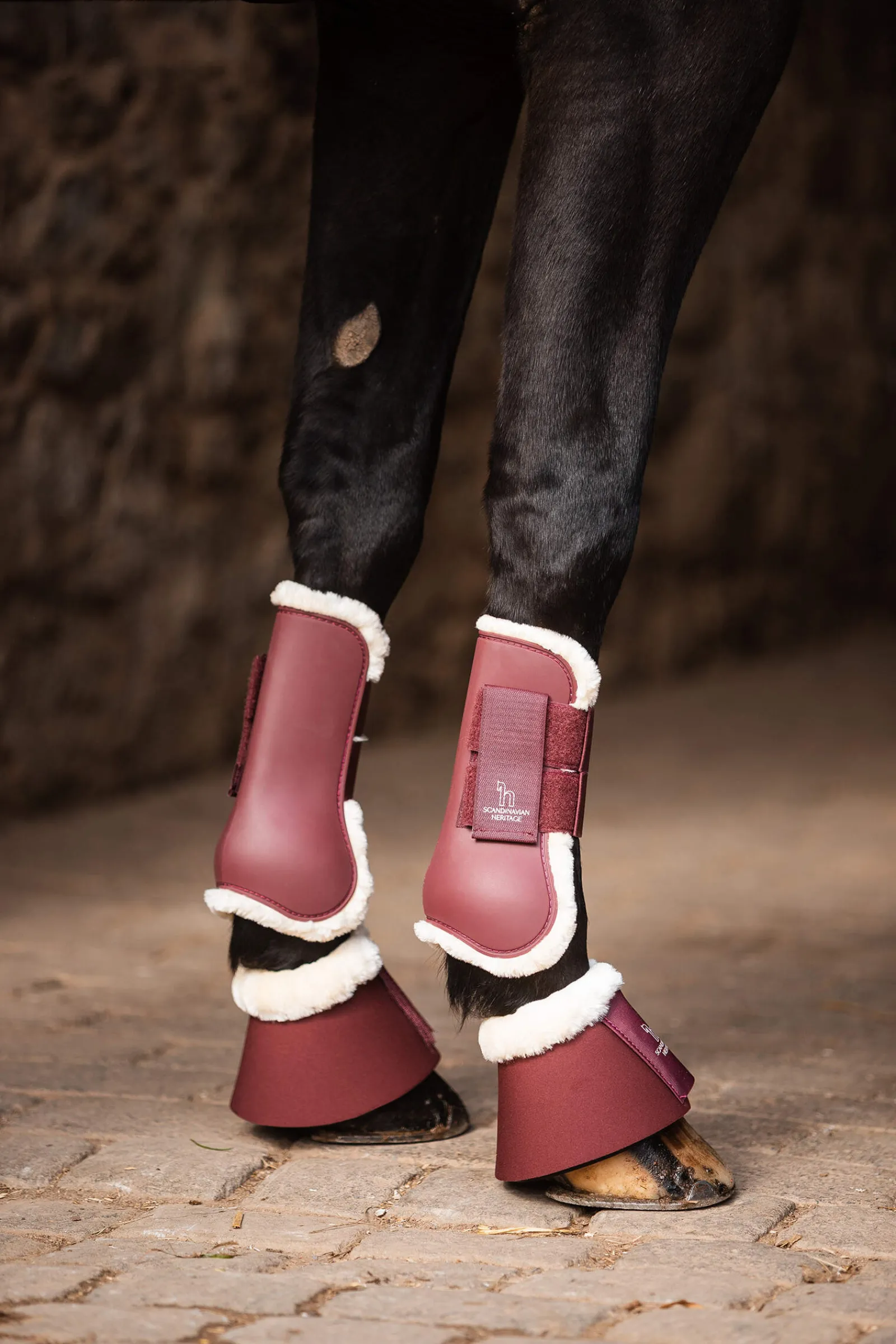 Discount Leighton Teens Collection Tendon Boots Horse Boots