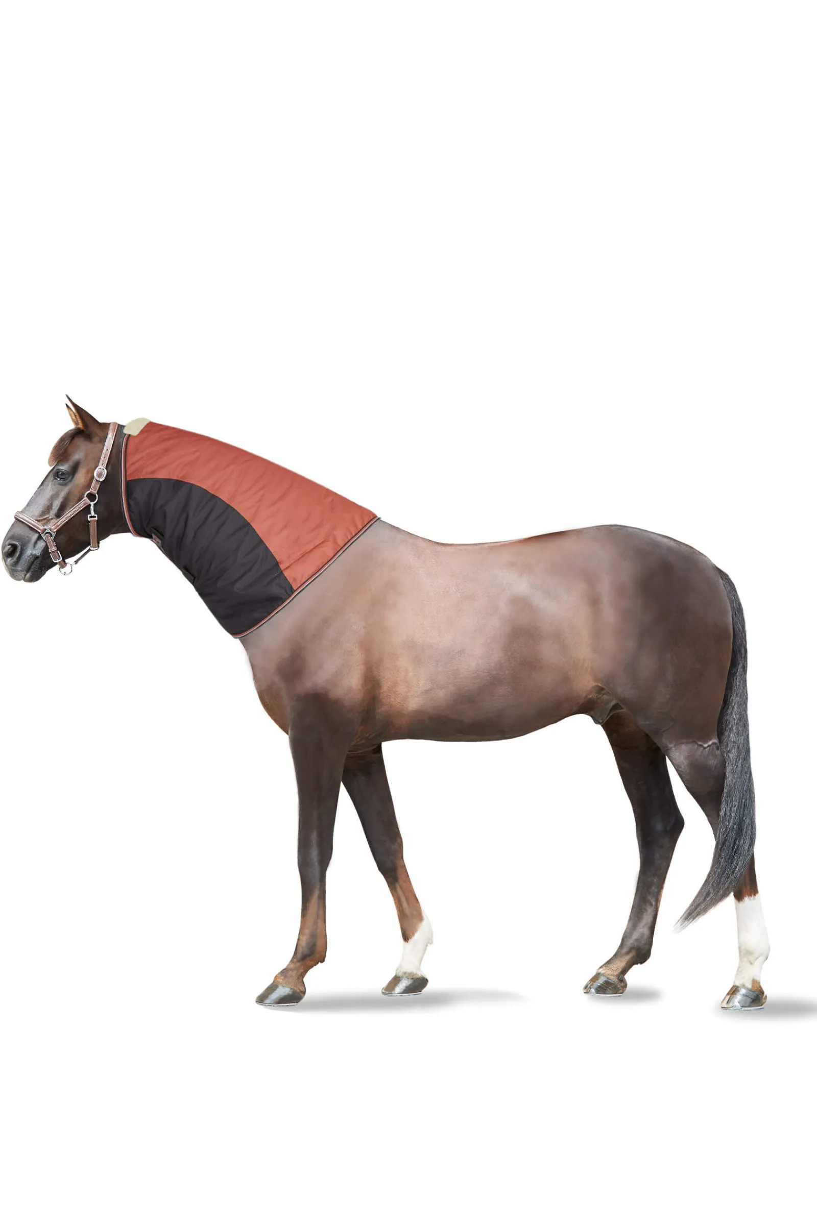 New Lucerne Neck Piece, 250g Horse Hoods