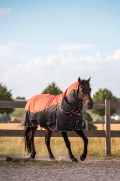 New Lucerne Neck Piece, 250g Horse Hoods