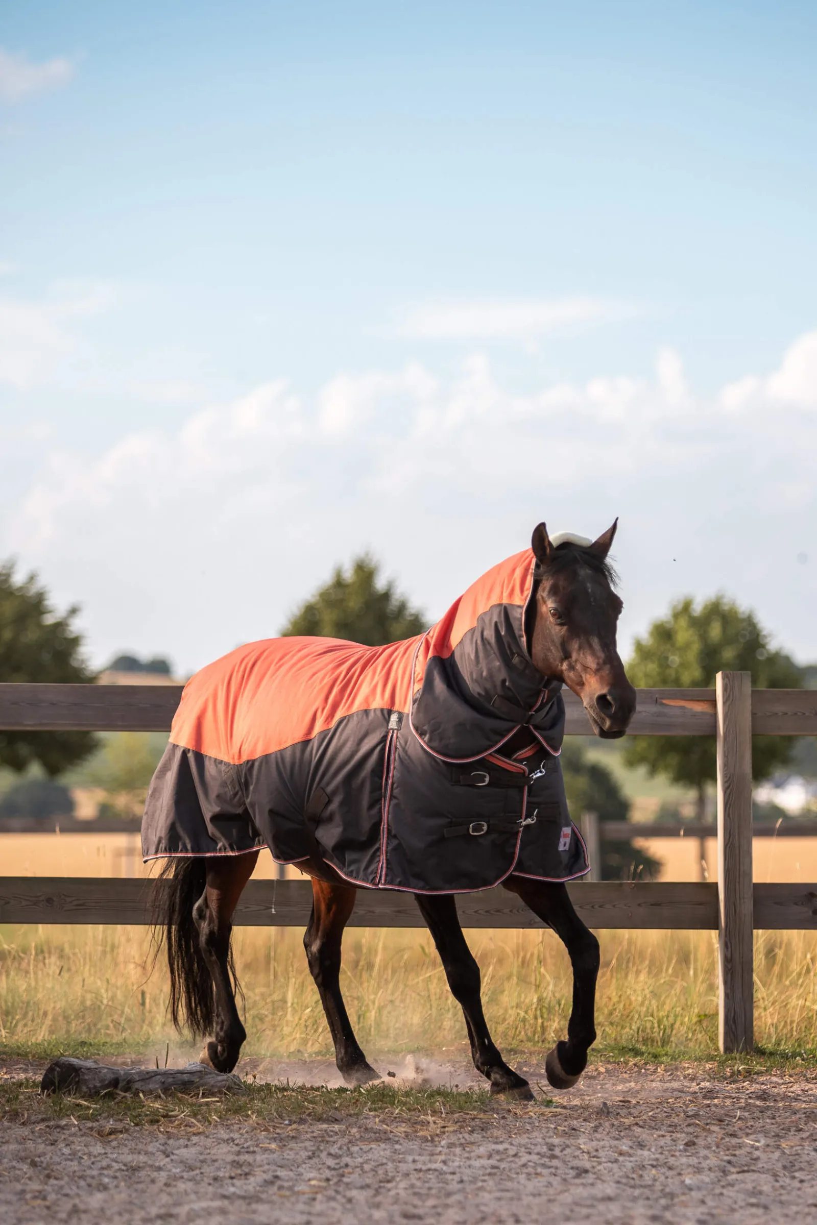 New Lucerne Neck Piece, 250g Horse Hoods