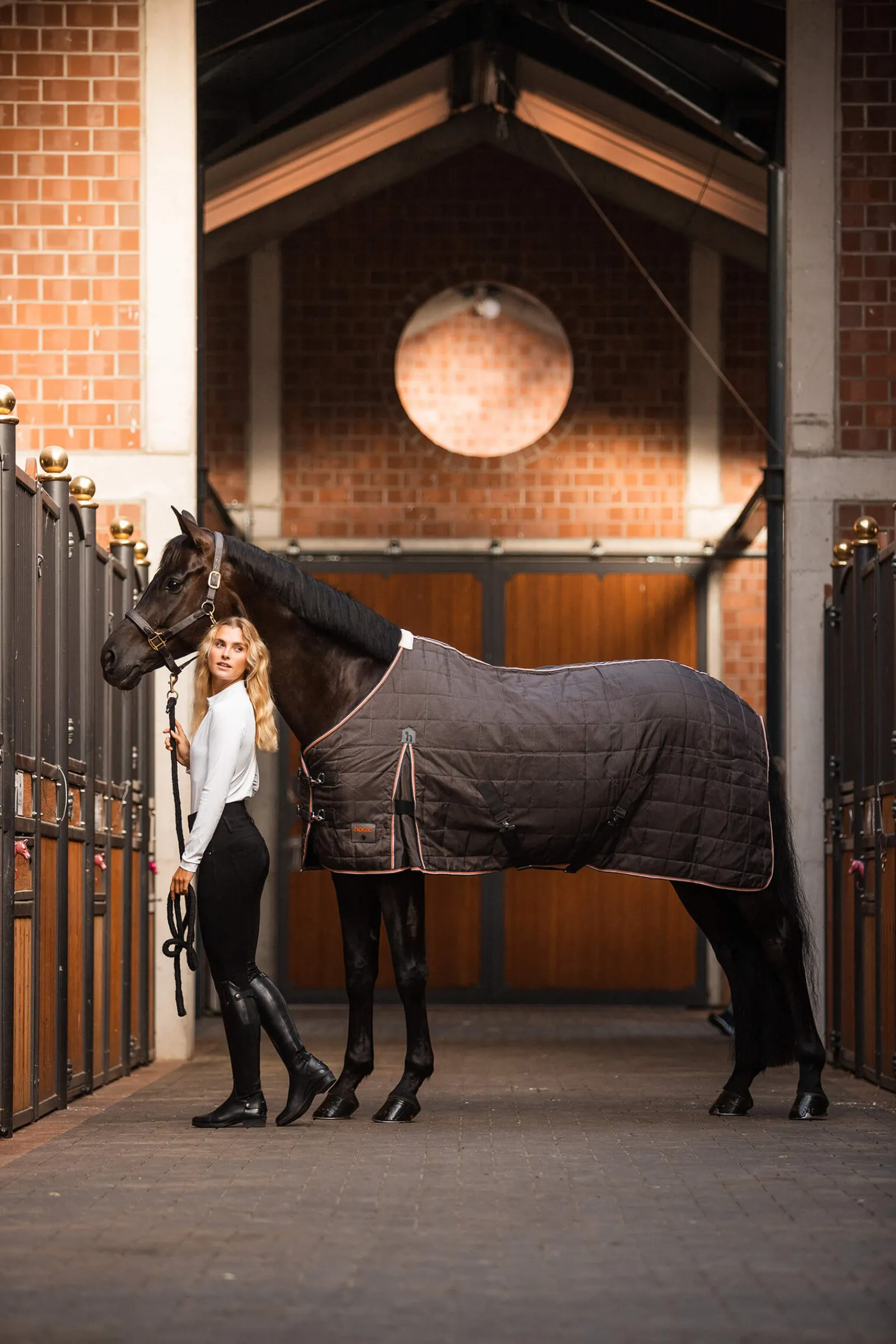 New Lucerne Stable Rug, 150g Stable Rugs & Liners