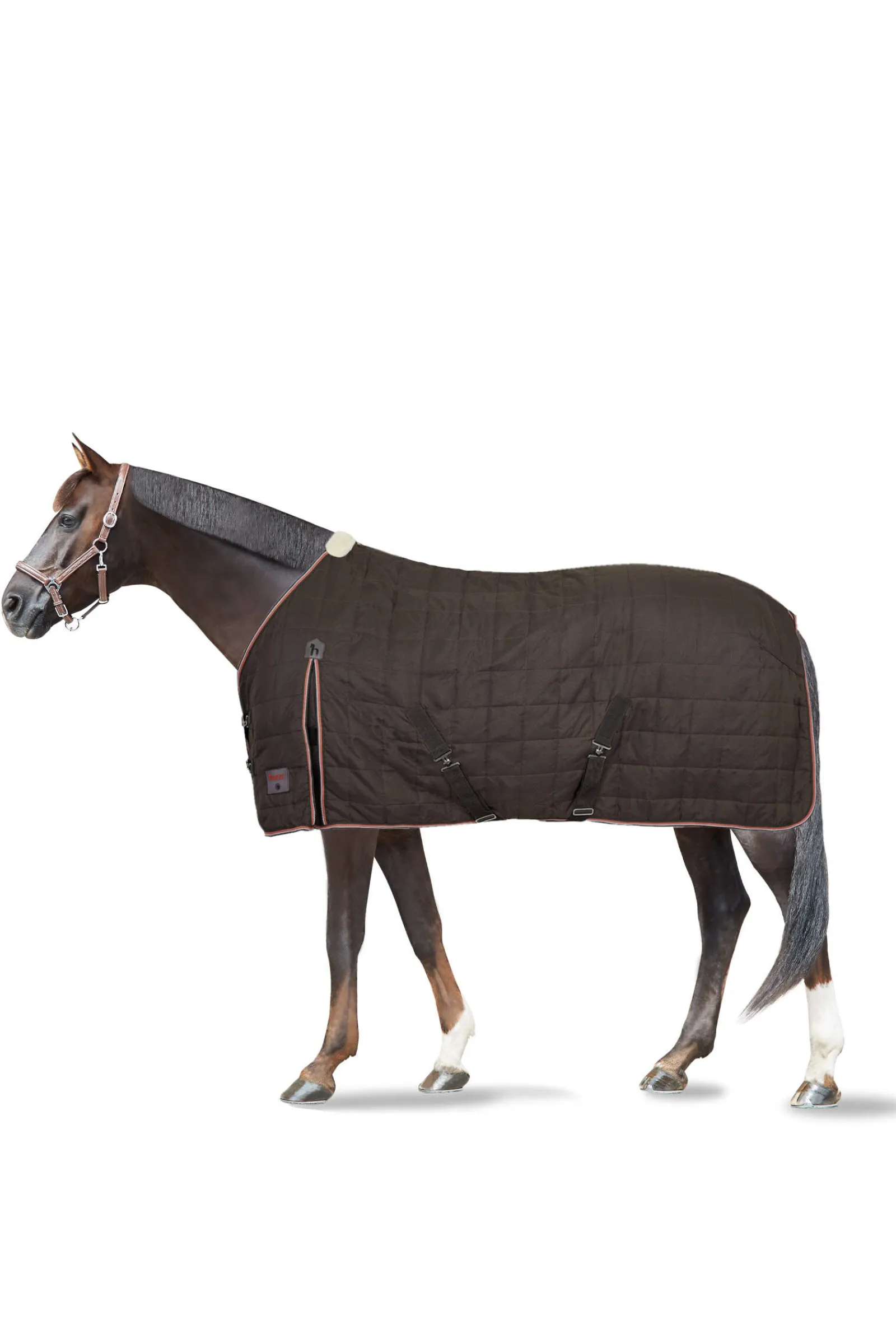 Online Lucerne Stable Rug, 250g Stable Rugs & Liners