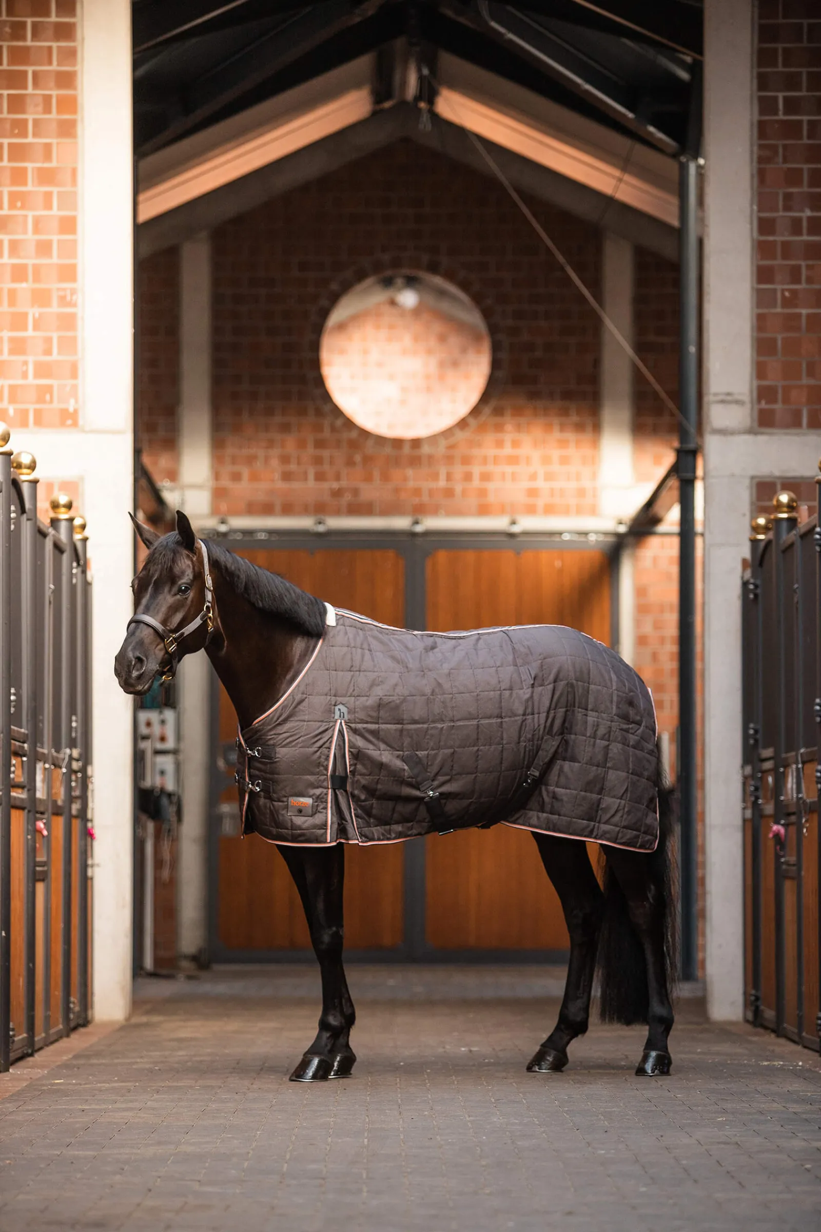 Online Lucerne Stable Rug, 250g Stable Rugs & Liners
