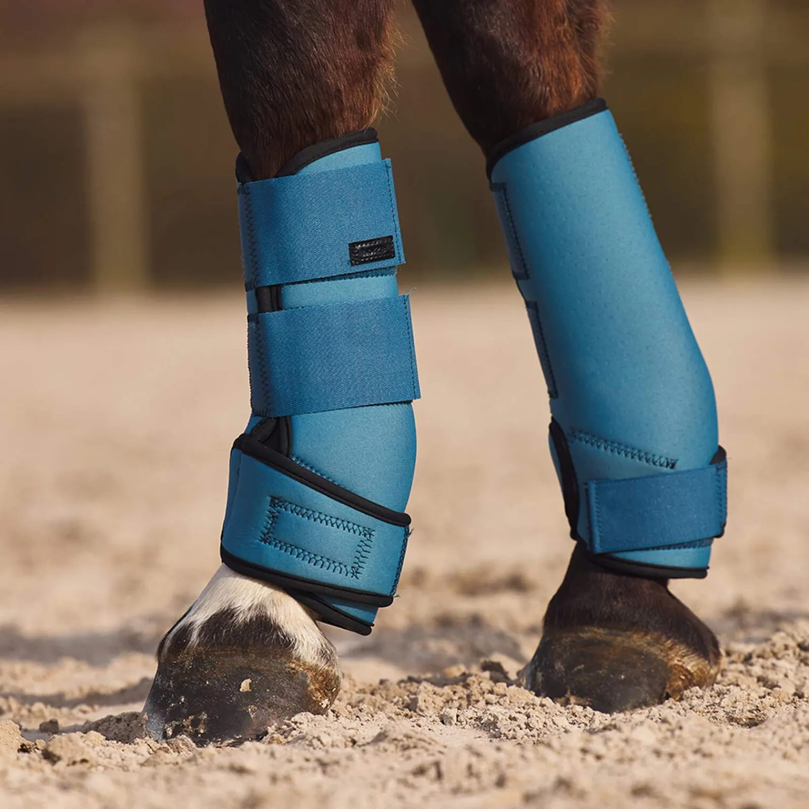 Discount Marquess Neoprene Brushing Boots Horse Boots