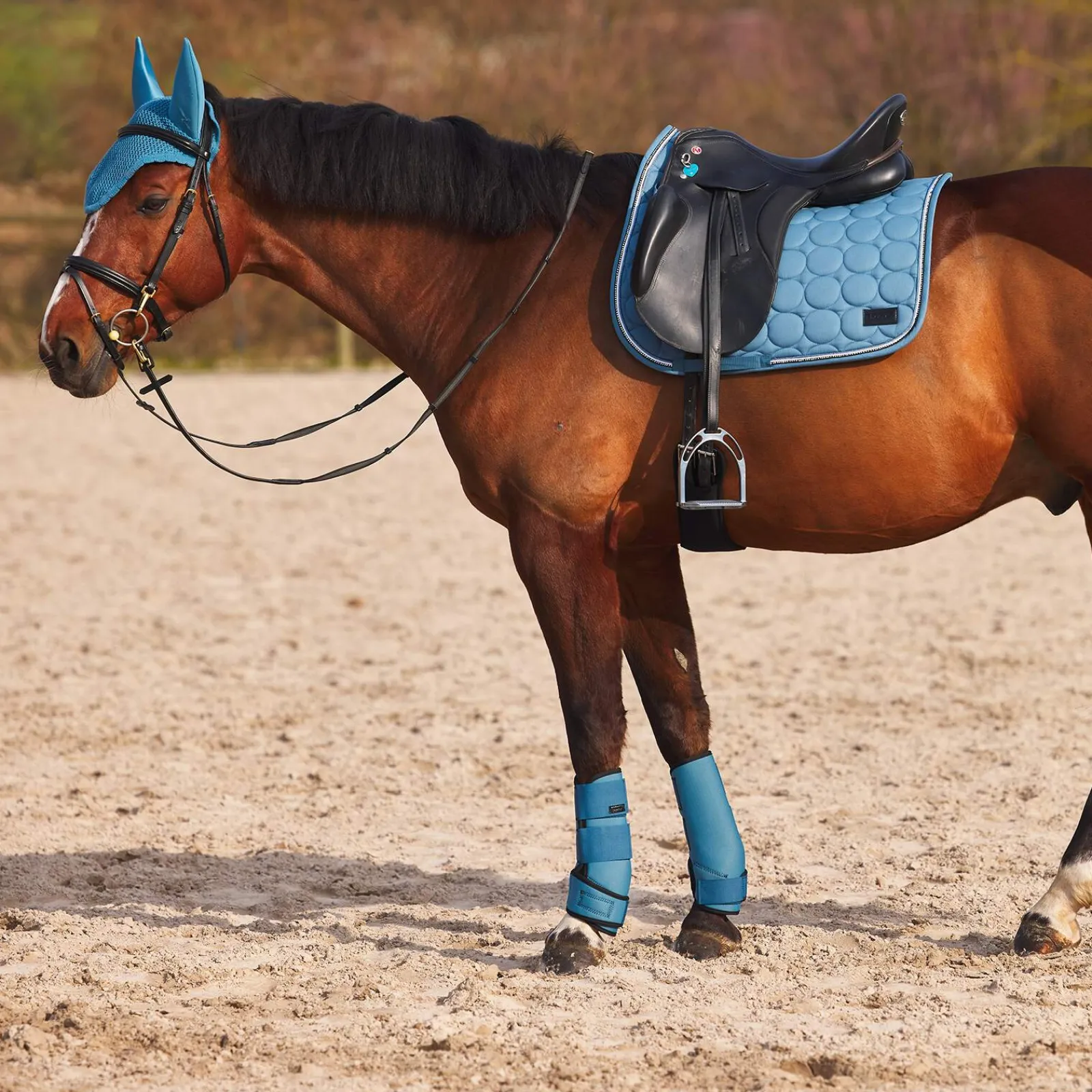 Discount Marquess Neoprene Brushing Boots Horse Boots