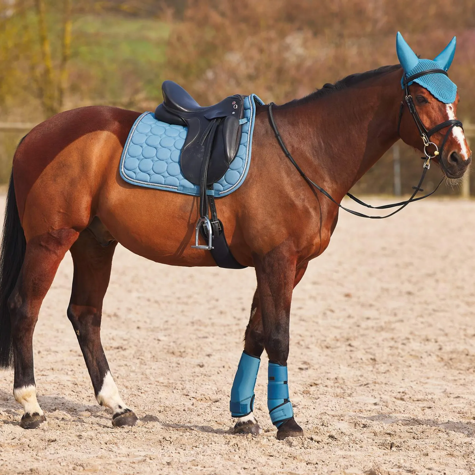 Discount Marquess Neoprene Brushing Boots Horse Boots