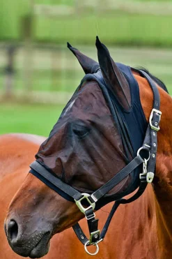 Clearance Mesh Fly Mask Fly Masks & Fringes|Fly Masks & Fringes