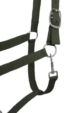 New Moreton Halter, Lead & Fly Veil Set Headcollars & Halters