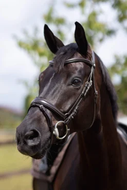 Hot Nature Made Leisure Bridle Pony Bridles & Halters|Bridles & Nosebands