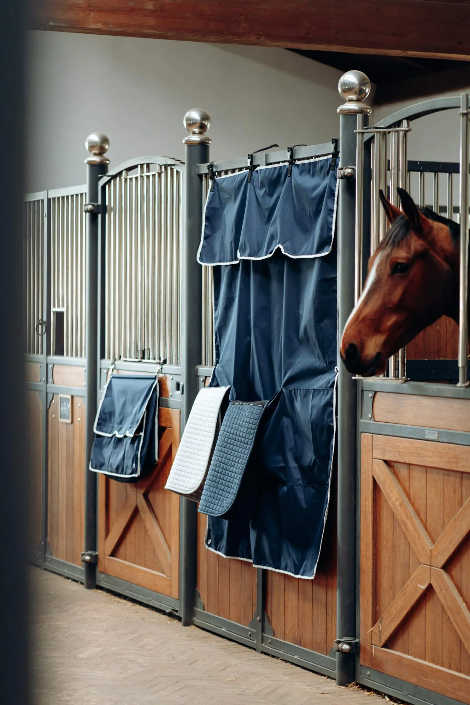 Outlet Neat & Tidy Grooming Bag Grooming Kits, Boxes & Bags