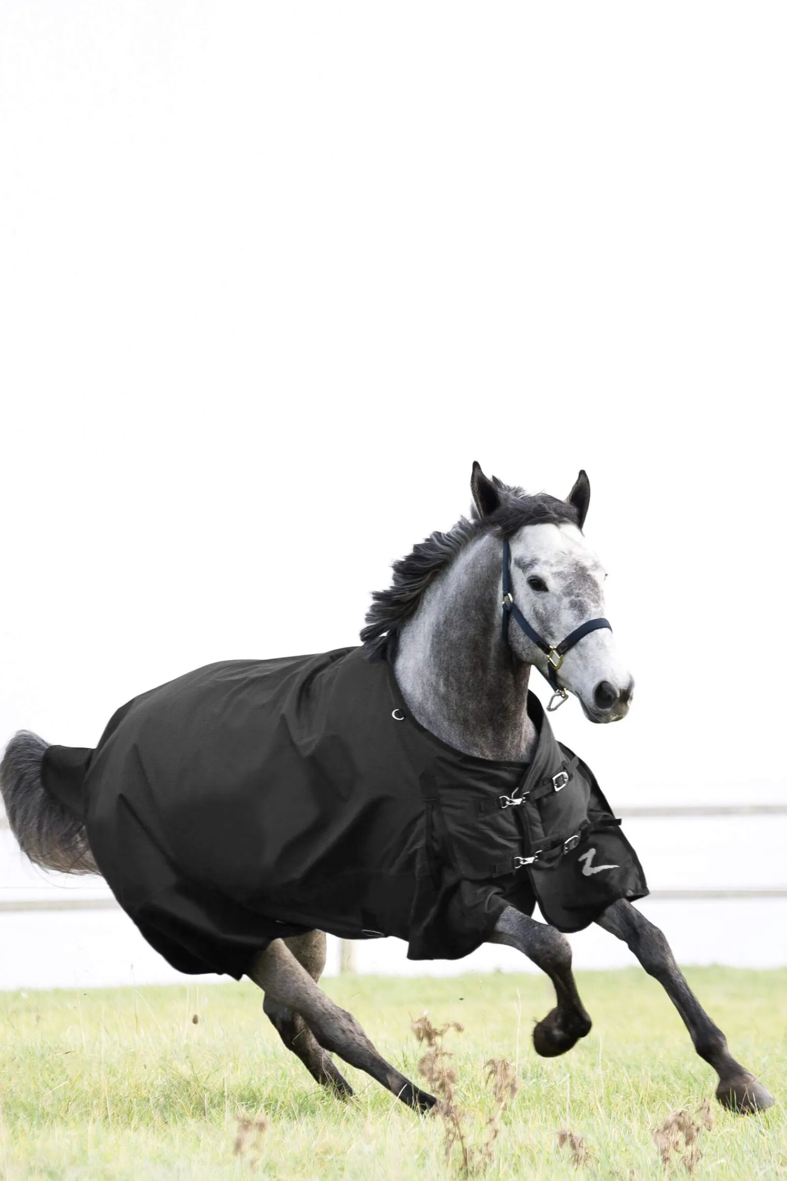 New Nevada Medium Weight Turnout Rug, 200g Medium & Heavyweight Turnout Rugs