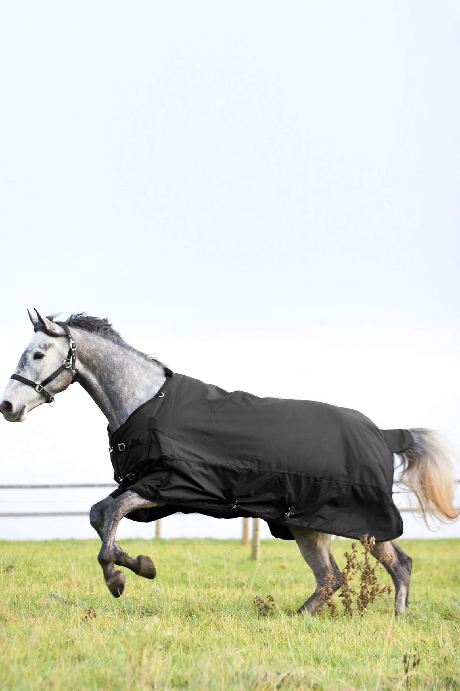 New Nevada Medium Weight Turnout Rug, 200g Medium & Heavyweight Turnout Rugs