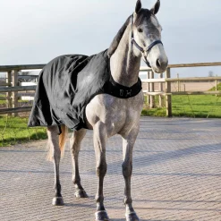 Online Nevada Walker Rug, 200g Walker Rugs