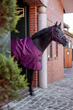 Discount Newbridge Turnout Rug, 100g Women Lightweight Turnout Rugs|Club Apparel