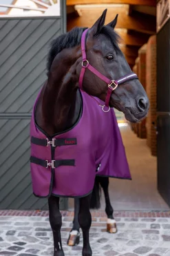 Discount Newbridge Turnout Rug, 100g Women Lightweight Turnout Rugs|Club Apparel