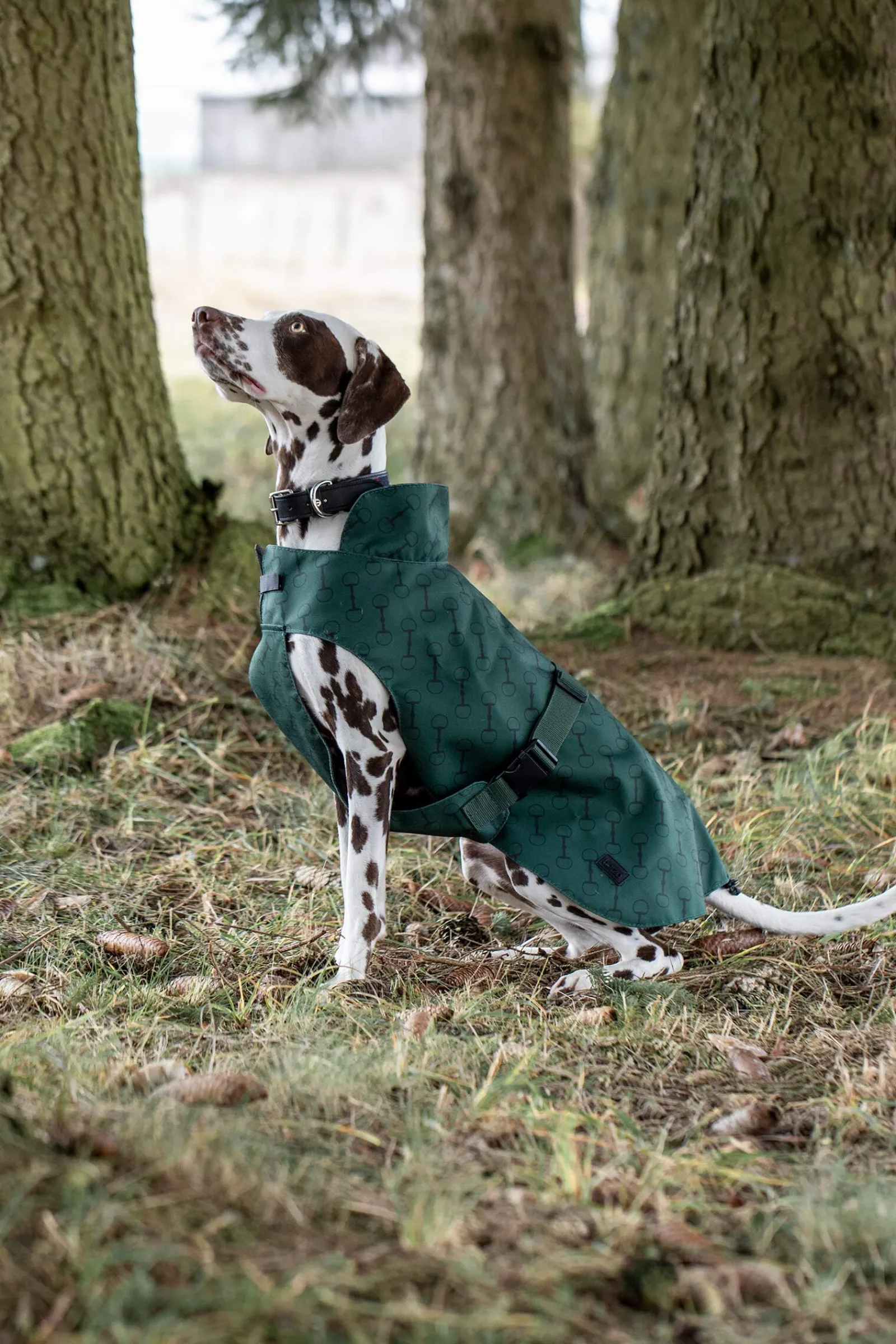 Discount Noir Dog Coat with Print Dog Rugs & Coats