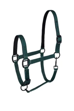 Online Noir Halter with Print Headcollars & Halters