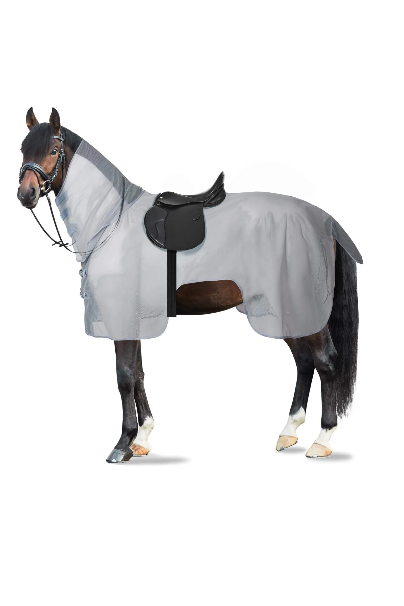 Hot Orleans Fly Riding Rug Fly Rugs|Fly Rugs