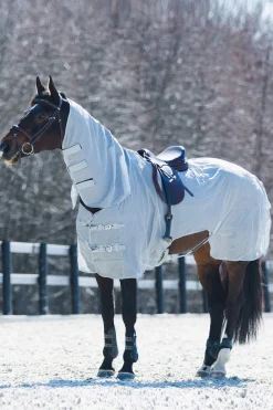 Hot Orleans Fly Riding Rug Fly Rugs|Fly Rugs
