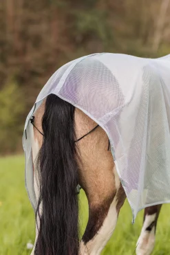 Outlet Orleans Fly Rug Fly Rugs|Fly Rugs