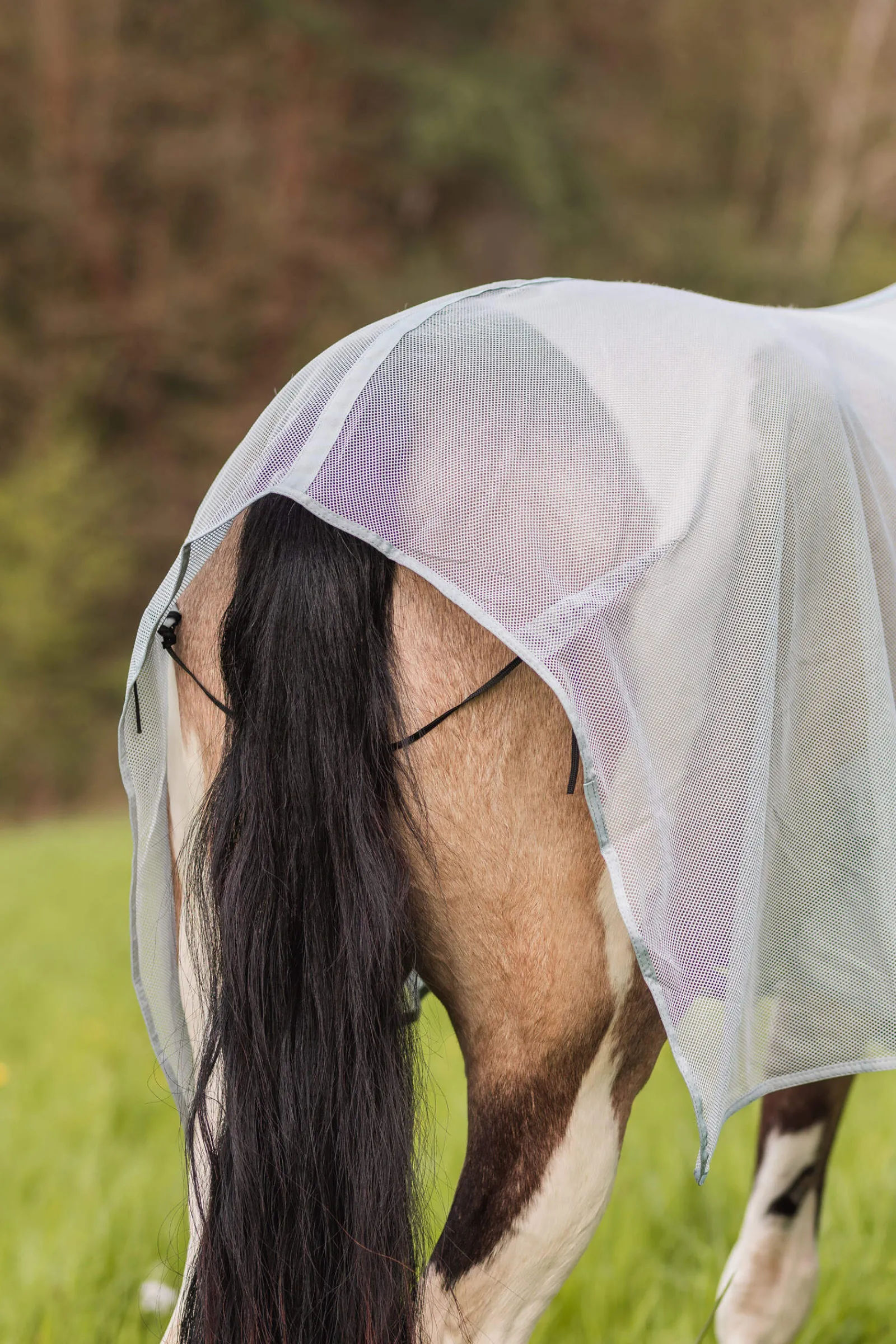 Outlet Orleans Fly Rug Fly Rugs|Fly Rugs