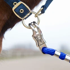 Fashion Panic Buckle Lead Lead Ropes