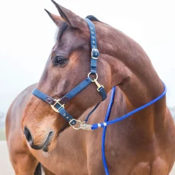 Fashion Panic Buckle Lead Lead Ropes