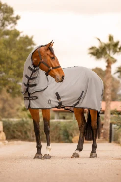 Discount Paso Fino Fly Rug with Detachable Neck and UV Protection Fly Rugs|Fly Rugs
