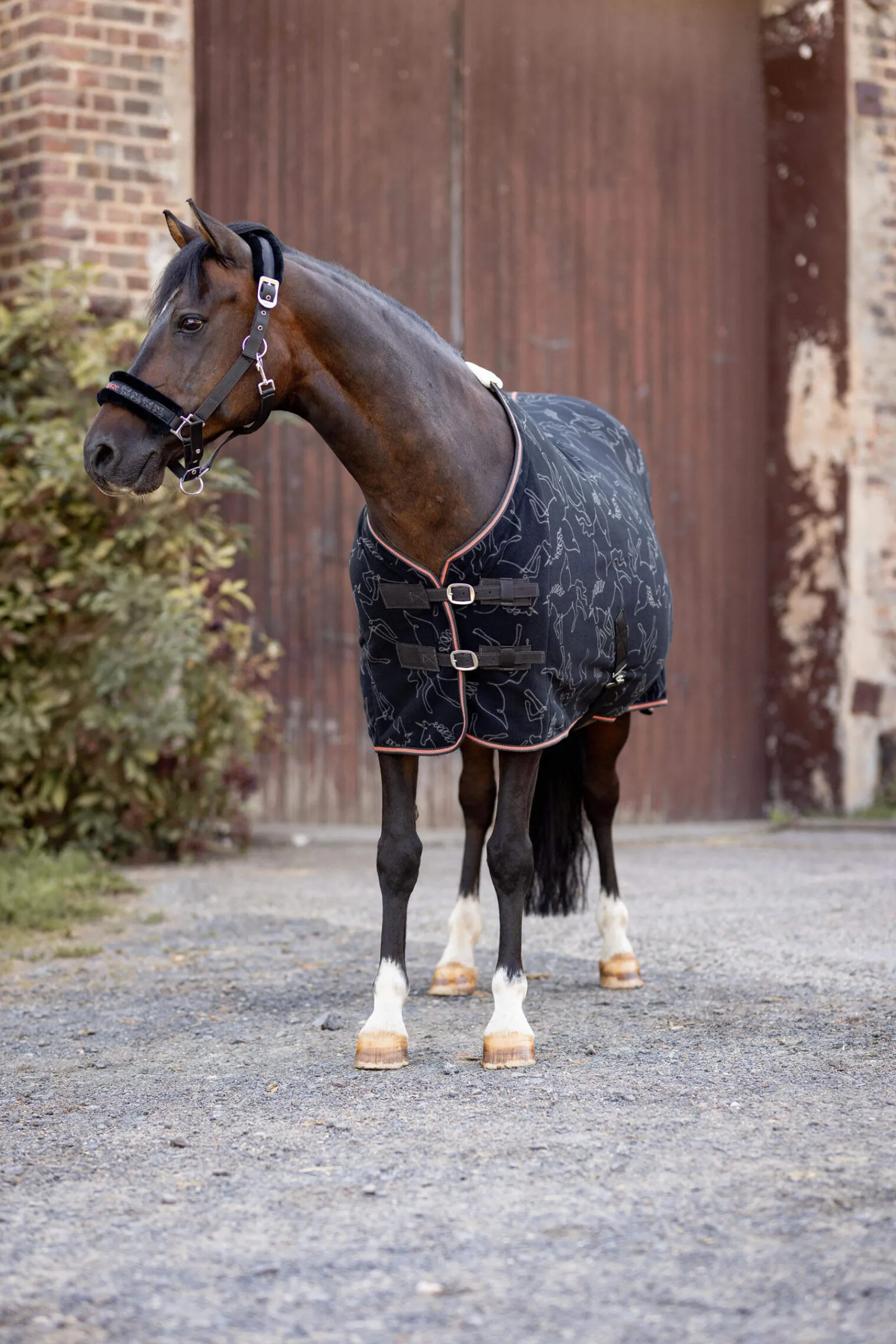 Outlet Pegasus Pony Fleece Cooler Rug Pony Rugs|Pony Rugs