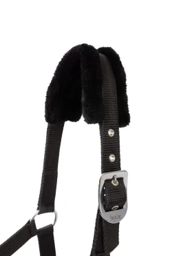 Discount Pegasus Pony halter set Headcollars & Halters