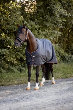Outlet Pegasus Pony turnout fleece lined Pony Rugs|Pony Rugs