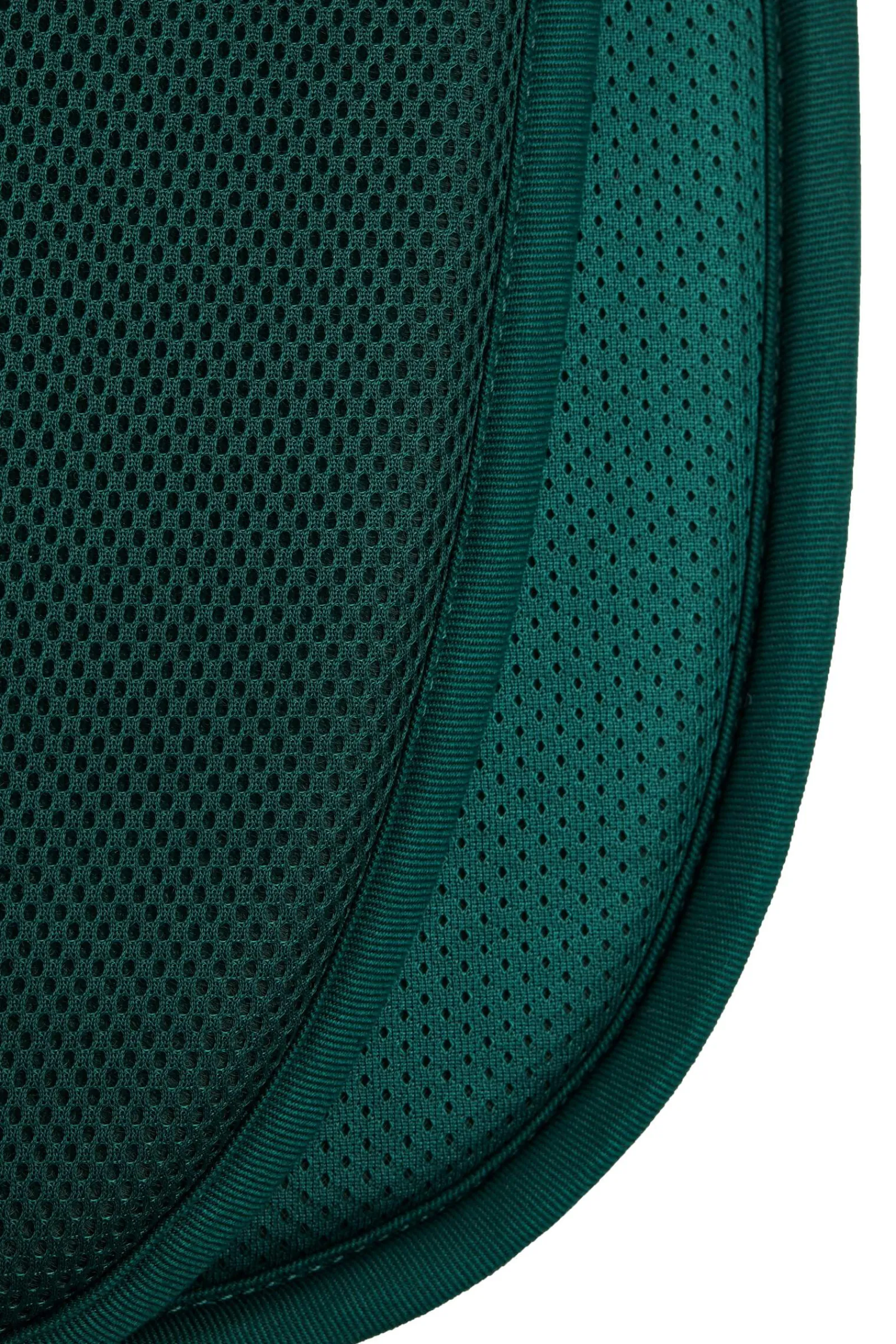 Best Phoenix Dressage Saddle Pad Dressage Saddle Pads