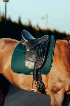 Best Phoenix Dressage Saddle Pad Dressage Saddle Pads