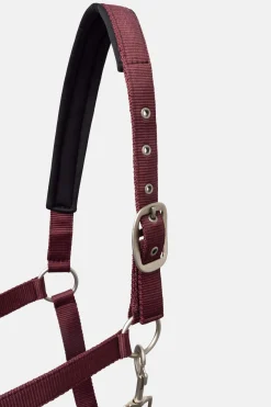 Outlet Physical Sophistication Halter Set Headcollars & Halters