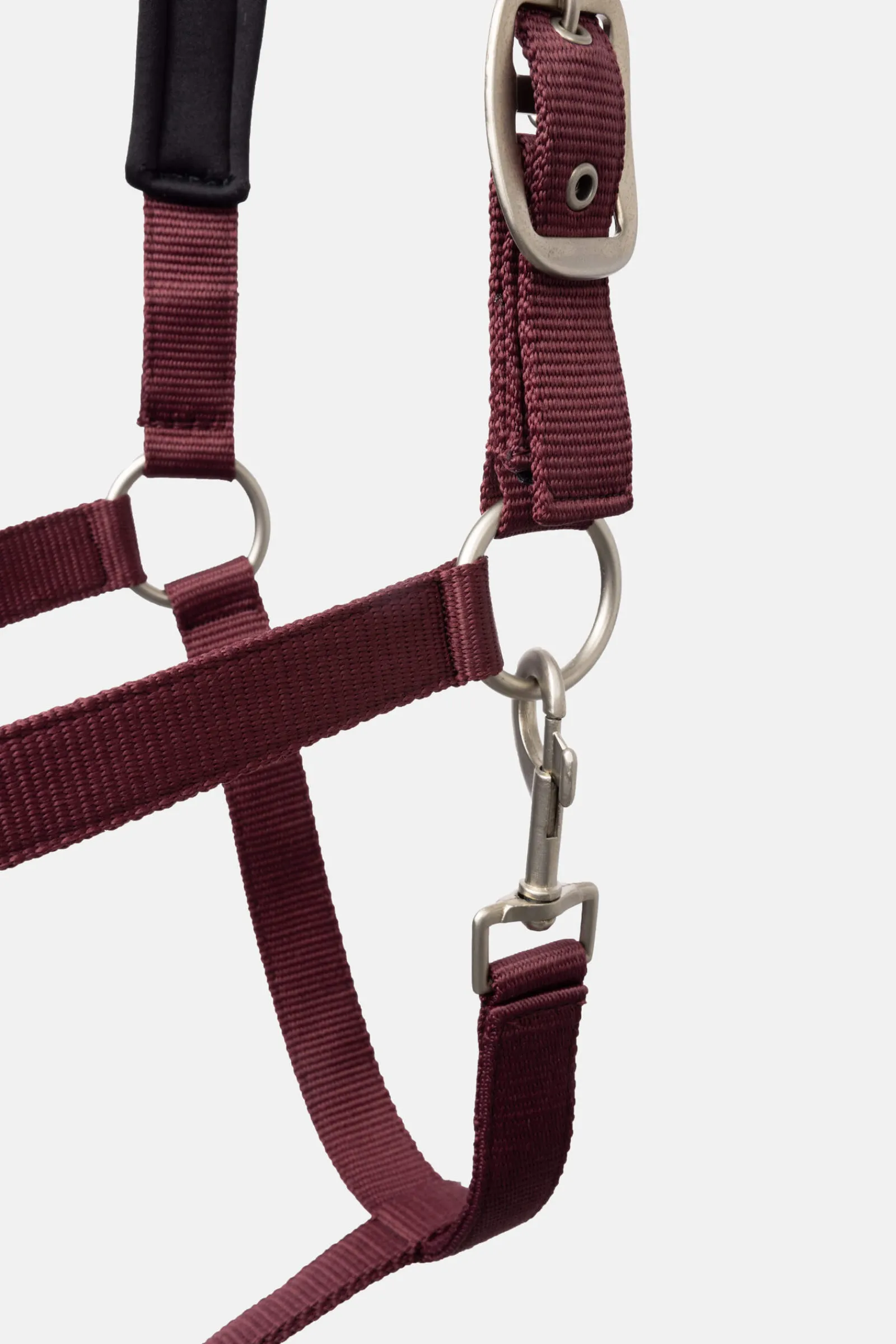 Outlet Physical Sophistication Halter Set Headcollars & Halters