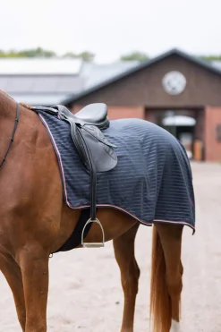 Fashion Physical Sophistication Riding Rug Exercise Sheets & Quarter Sheets