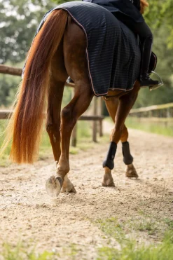 Fashion Physical Sophistication Riding Rug Exercise Sheets & Quarter Sheets