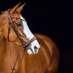 Online Positano Anatomic Hannover Bridle Pony Bridles & Halters|Bridles & Nosebands