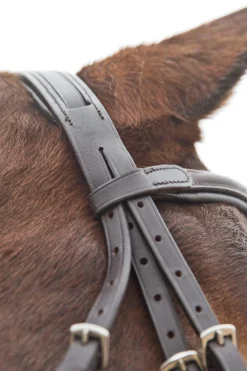 New Prescott Mexican Noseband Bridle Bridles & Nosebands