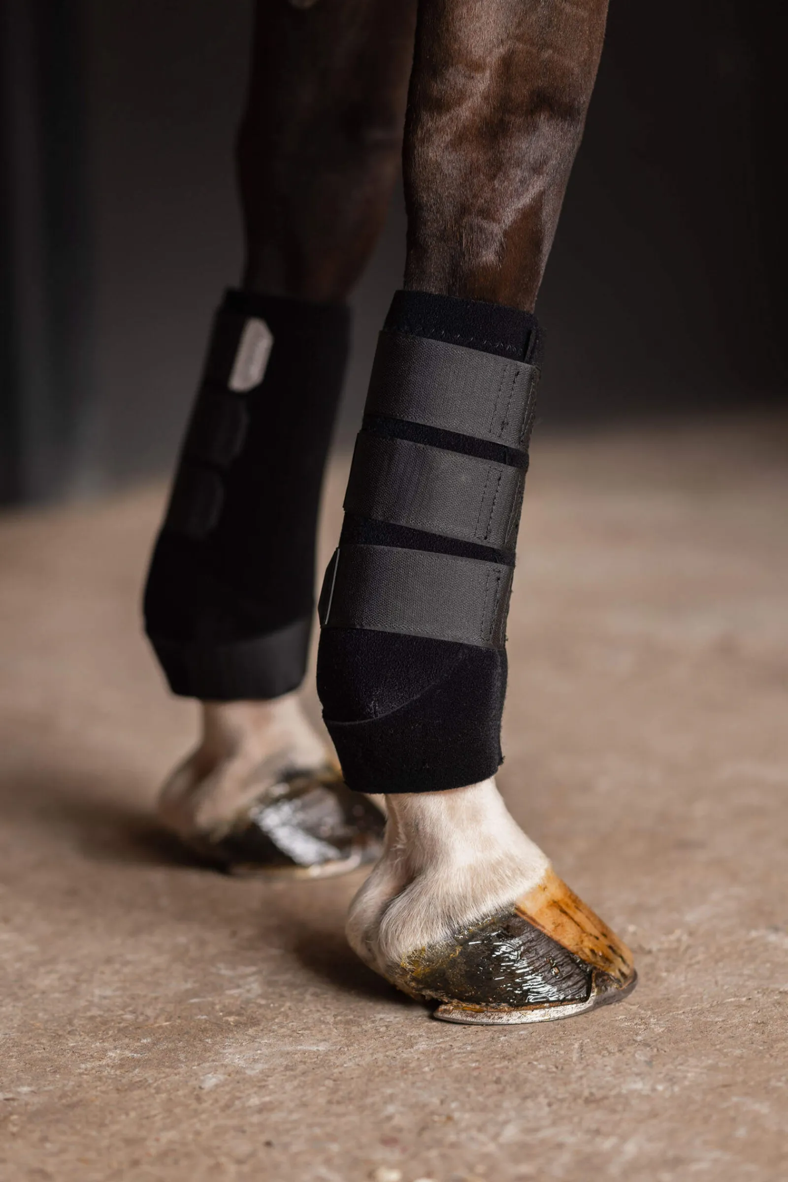 New ProSoft Boots, Front Horse Boots