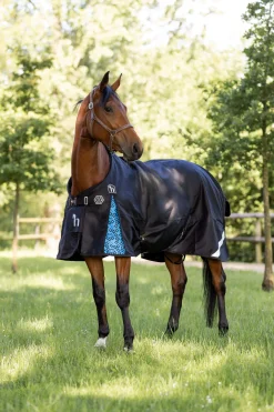 Hot Quebec 1200D Turnout Rug Lightweight Turnout Rugs