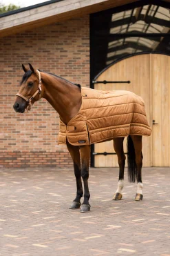 Discount Quebec Liner 200g Stable Rugs & Liners