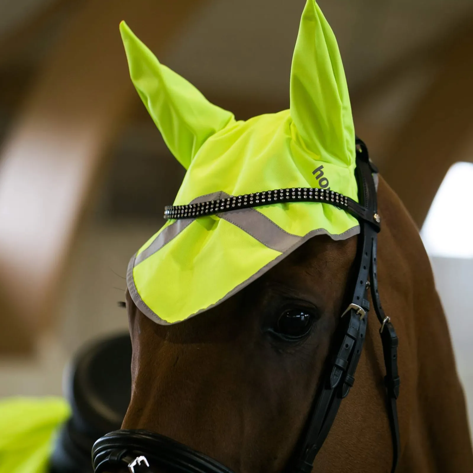 Outlet Reflective Ear Net Hi Viz Horse Wear|Hi Viz Horse Wear